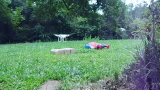 Will It Fly?