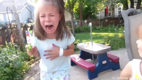 Funniest Reactions video