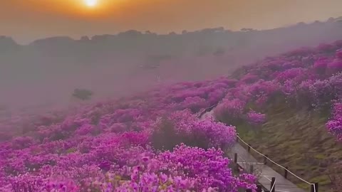 Beautiful sunset