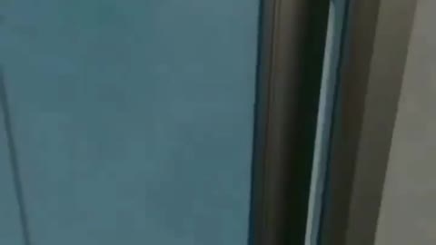 Dog fanny video insta fanny reel