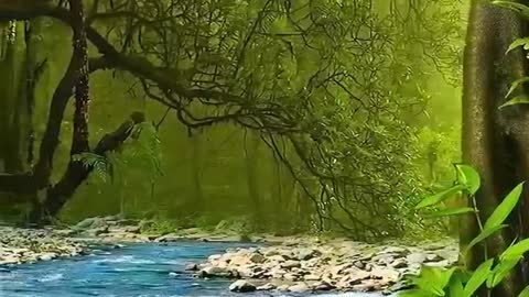 #relaxe your mind #beautiful nature #someone special #water