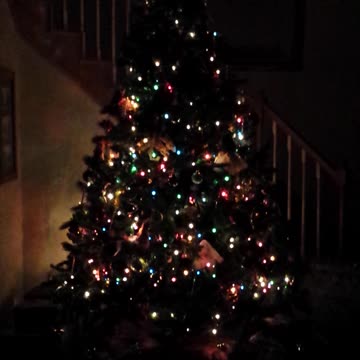 Christmas Tree Lights