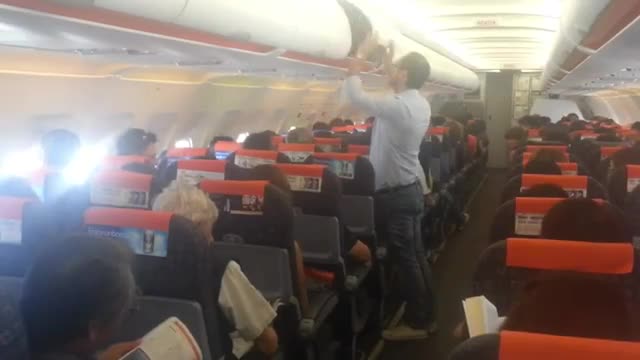 Surprise Marriage Proposals at Plane#beautiful moment #