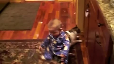 Little baby playing with the cat and suddenly what happen!!!!