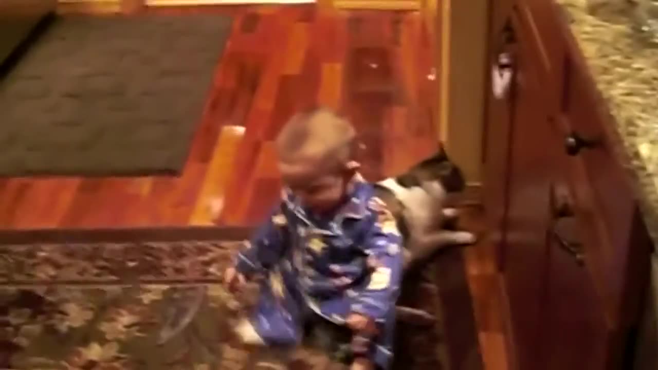Little baby playing with the cat and suddenly what happen!!!!