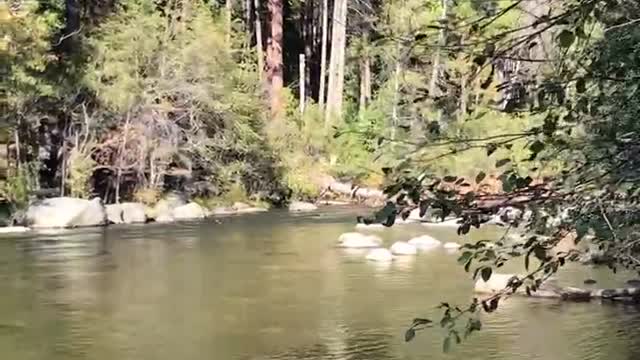 Stanislaus River.