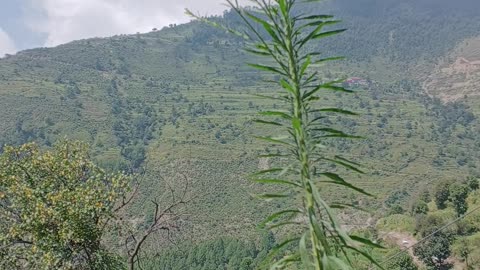 Beautiful nature