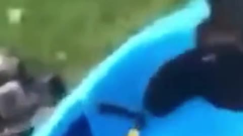 a funny video