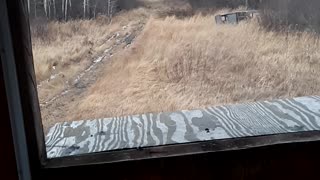 Hunting deer