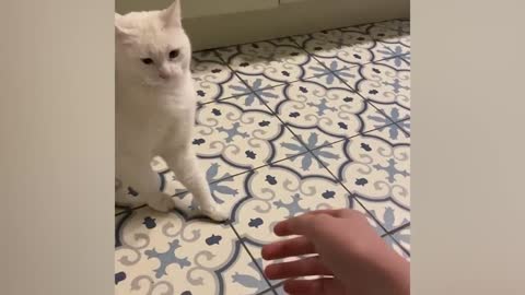 No one can beat the snow..