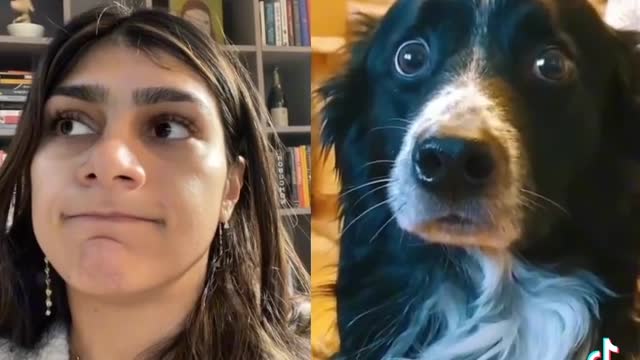 Miya khalifa and Dog reaction same2🤔🤔🤔