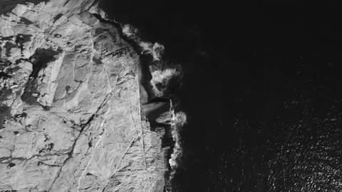 Edward Snowden: We Must Free Julian Assange