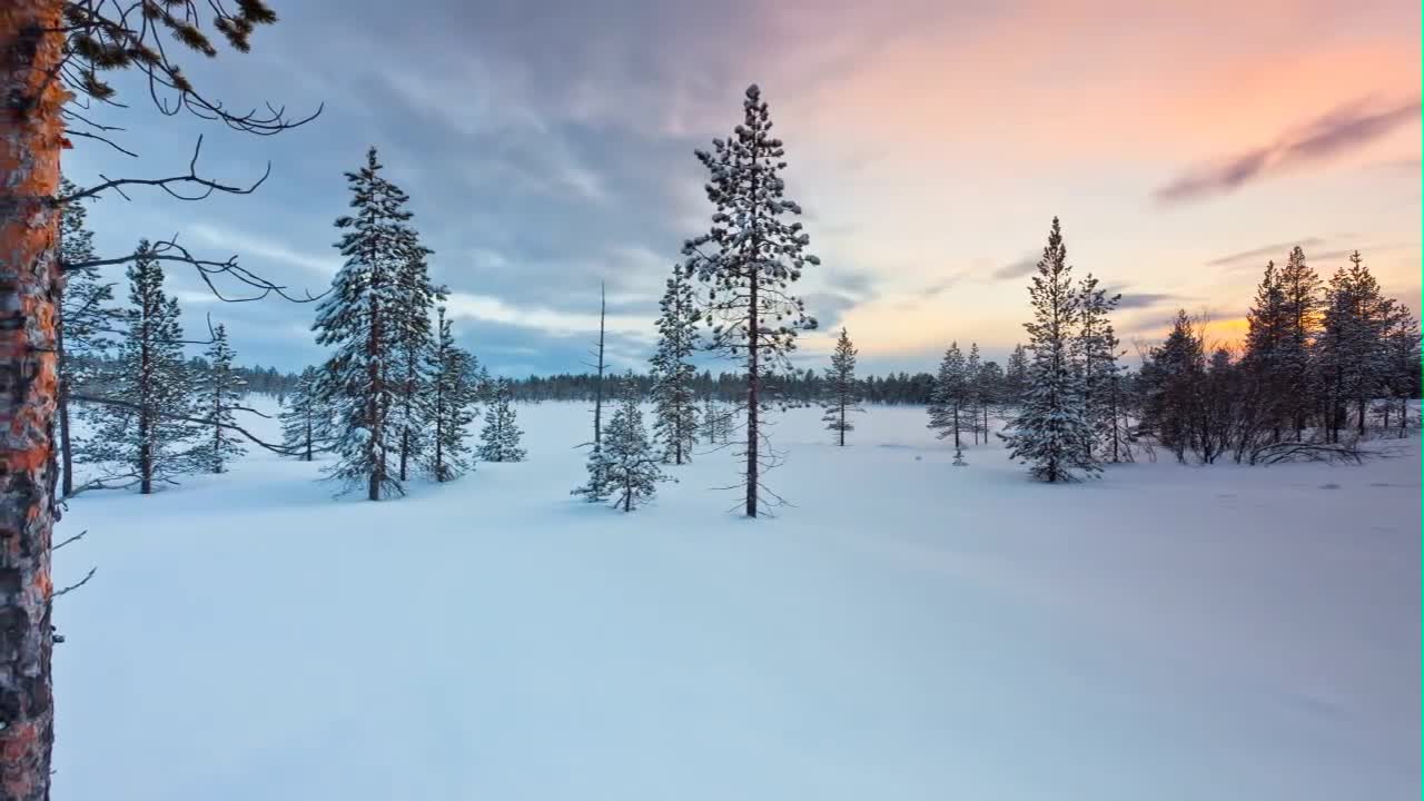 The biggest aurora borealis shows