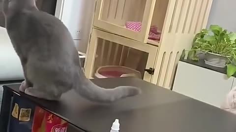 Yes, it's me. I did it on purpose.