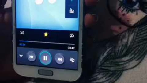 phone volume settings
