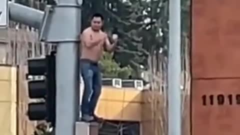 Police get man down from traffic light by offering him beer