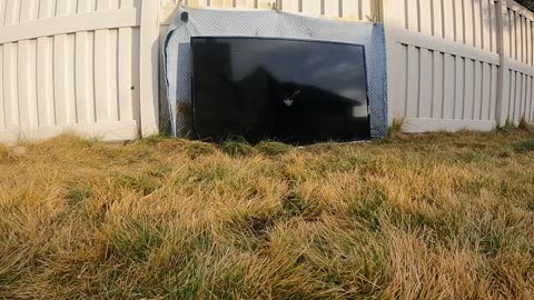 Flat Screen vs Crossbow