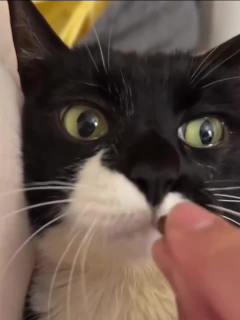 Life is good 😂😂😂