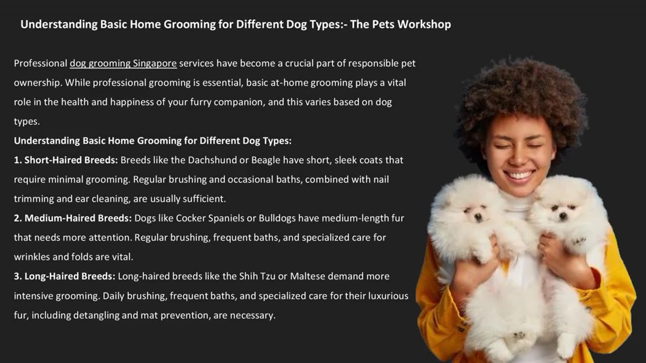 Understanding Basic Home Grooming for Different Dog Types:- The Pets Workshop