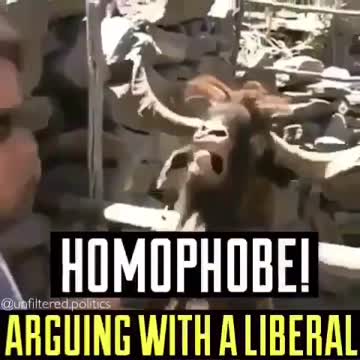 This is EXACTLY what it's like to ARGUE WITH A LIBERAL! BAHAHA