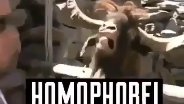 This is EXACTLY what it's like to ARGUE WITH A LIBERAL! BAHAHA