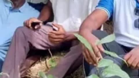 O verdadeiro líder religioso te leva ao profeta vivo do seu tempo.