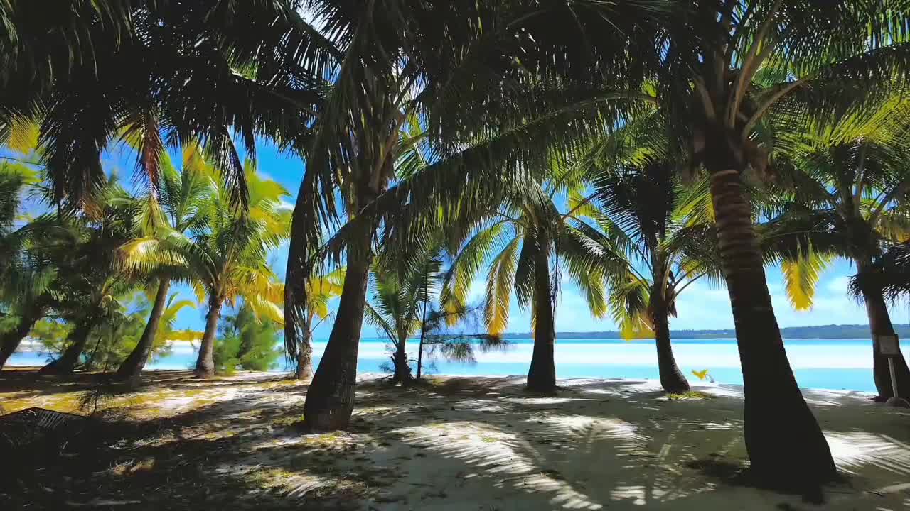 Ambient Music, Beautiful Imagery for Meditation, Study, Relaxation, and Mindfulness