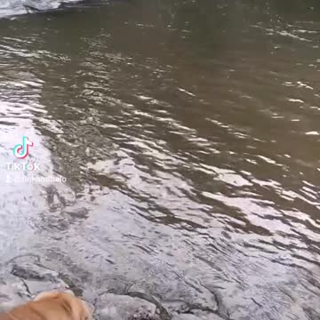 River Play