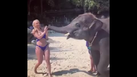 Elephant & Girl Funny Video short