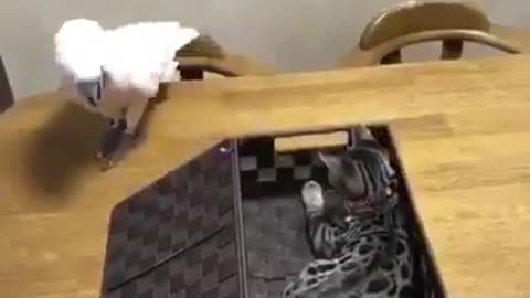 اذا عمل لحدا معروف