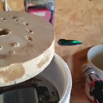 Beetle wing relates 100% with the Vann the graff generator (20 sec video clip)