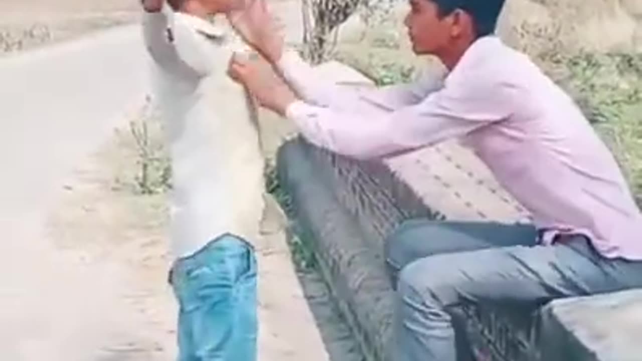 Virel tiktok