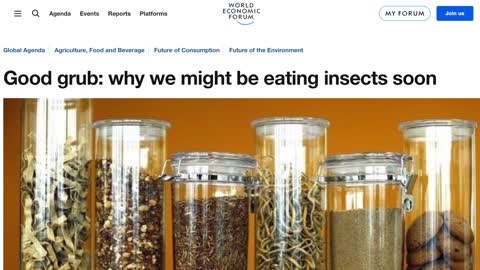 Celebrities Eating Bugs! Protein Source of the Future?