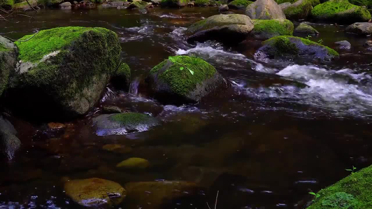 4K Ultra HD Waterfall short Video