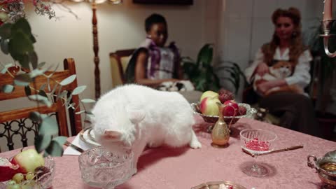 CAT EATING ON TABLE