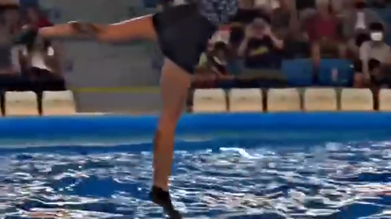 Amazing Dolphin
