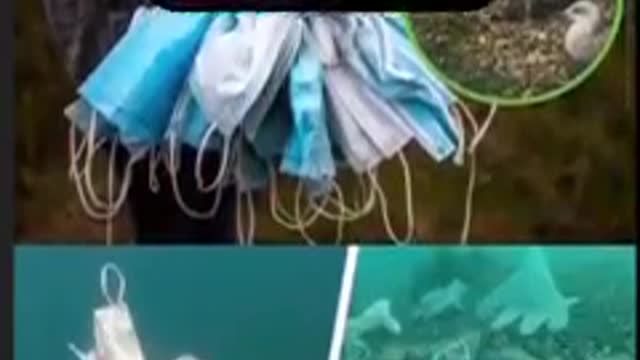 Η ΜΙΚΡΗ ΓΚΡΕΤΑ ΕΧΑΣΕ ΤΟΝ ΔΡΟΜΟ