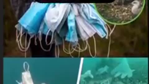 Η ΜΙΚΡΗ ΓΚΡΕΤΑ ΕΧΑΣΕ ΤΟΝ ΔΡΟΜΟ