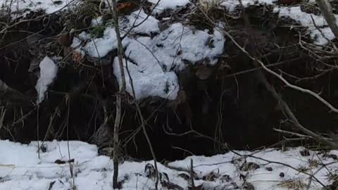 Alaskan Discovers a Huge Sinkhole After Earthquake