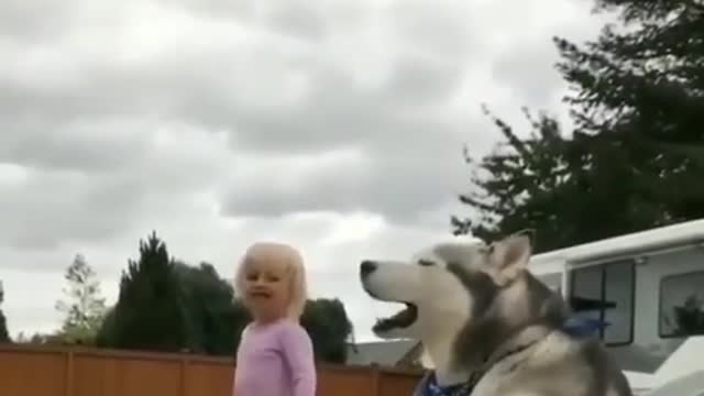 Baby girl and dog funny video