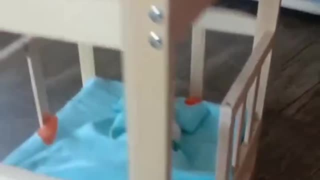 OMG So Cute Cat Video ❤ #cat #shorts