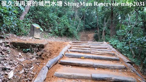 很久沒再來的城門水塘 Shing Mun Reservoir, mhp2031, Jan 2022 #城門水塘 #城門郊野公園 #菠蘿壩茶水亭 #免費加水站 #水畔千層 #Shing_Mun