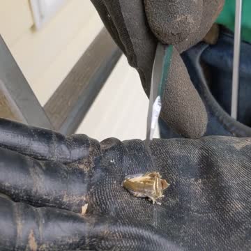 Bullet Extraction after Drive-By Shooting on Christmas Day of Election Whistleblower