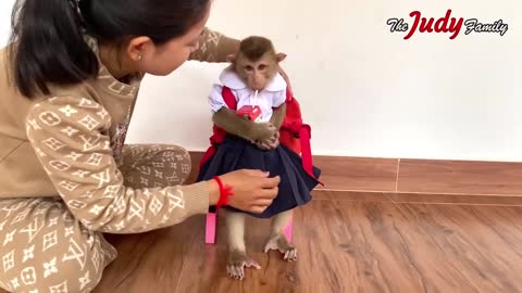 Judee Monkey In SchooI Uniform