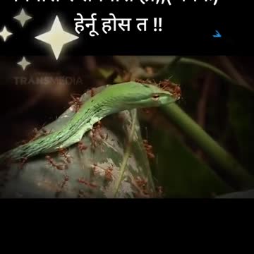 Everyone has its own expiry date.