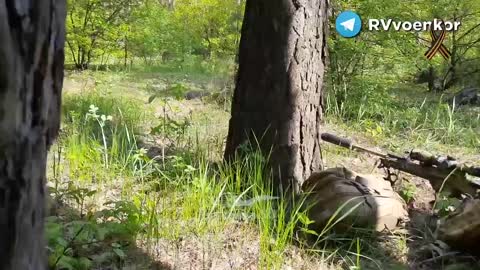 Spetsnaz fighting with the Armed Forces of Ukraine in a forest near Severodonetsk