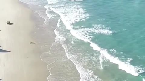 Beautiful view of the beach during summer