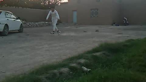 Cricket short video