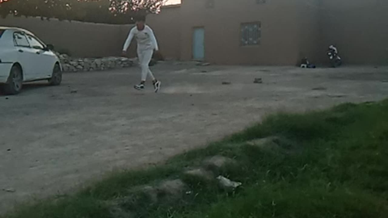 Cricket short video