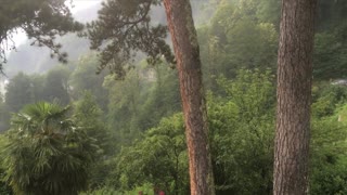 Rain in Switzerland